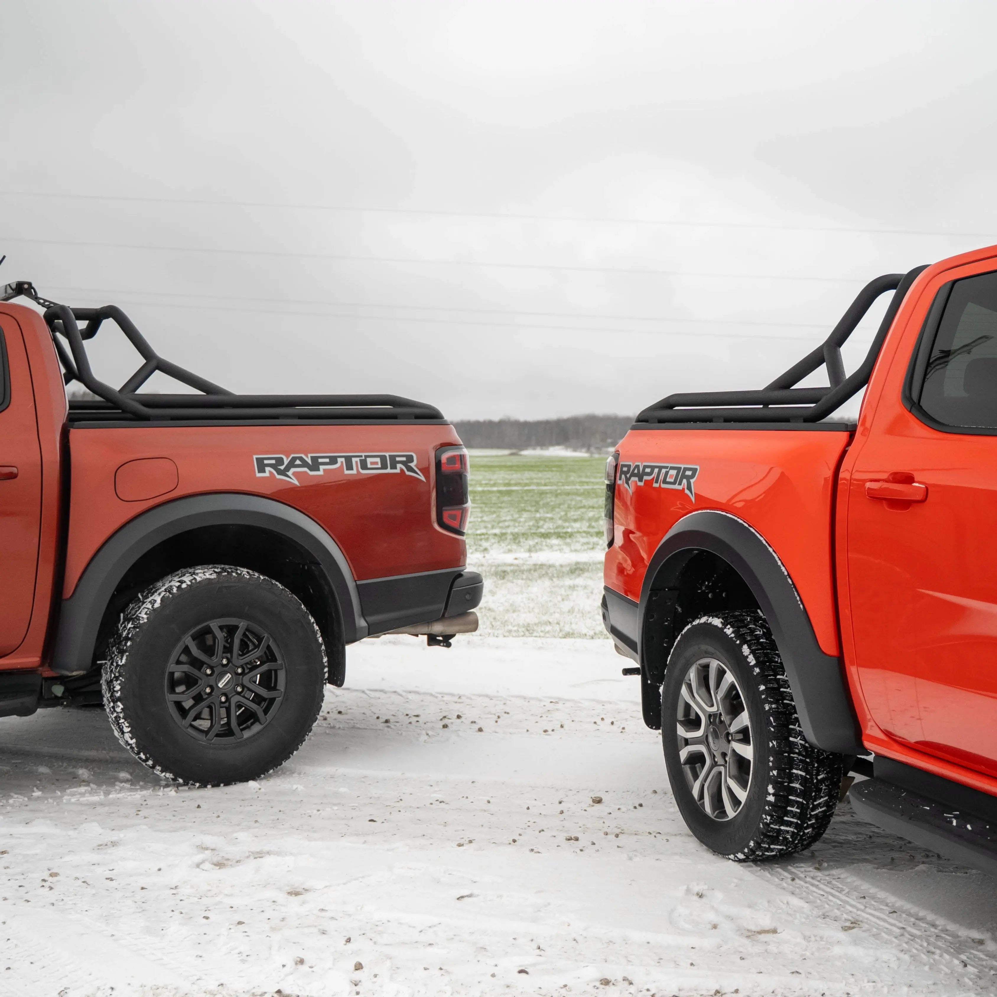 Two Raptors. Two Generations.