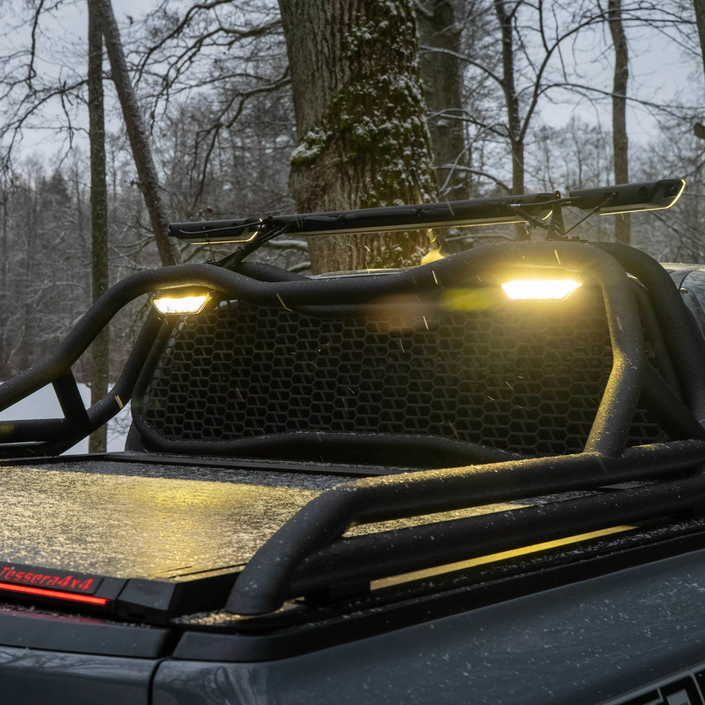Cargo Protection Mesh Panel